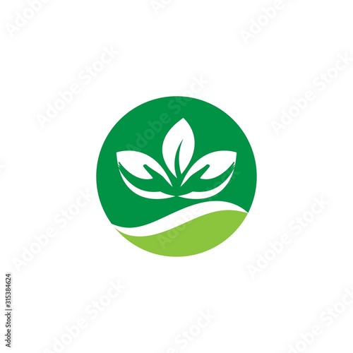 Green leaf logo