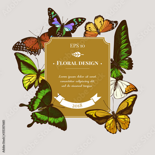 Badge design with colored cethosia biblis, ornithoptera croesus lydius, graphium weiskei, hebomoia glaucippe, papilio palinurus, danaus chrysippus, trogonoptera brookiana, ornithoptera goliath