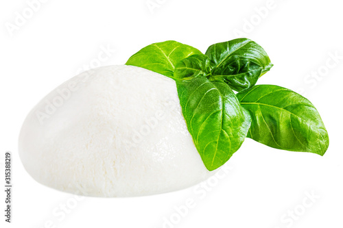 Mozzarella cheese Isolated. Traditional Italian Mozzarella ball and basil leaf on white background. Italian food concept.