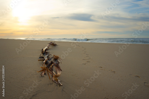 beauty of Portuguese sunset.