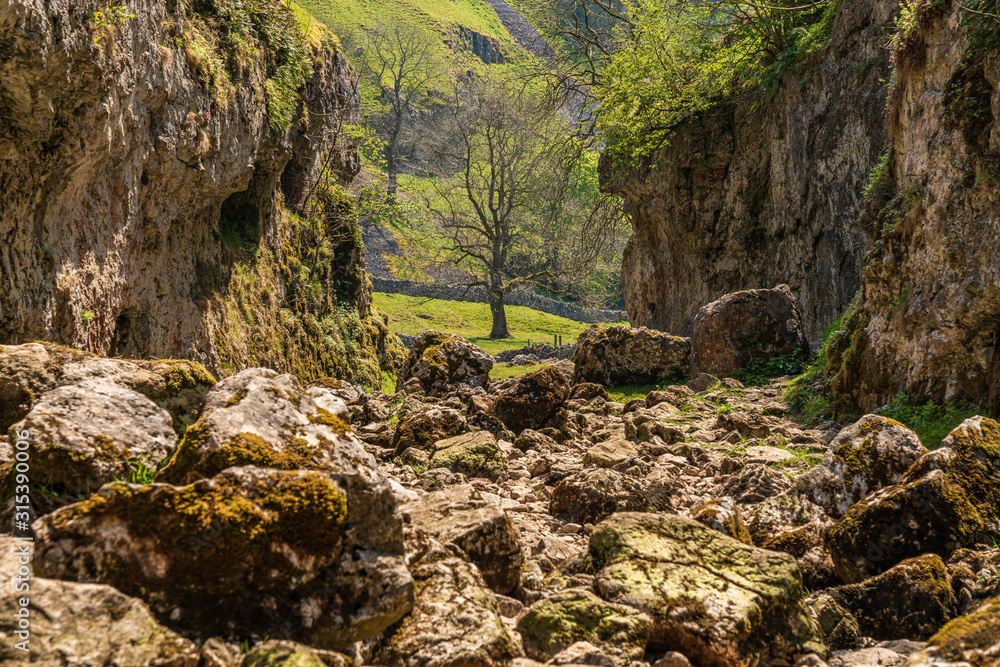 Troller's Gill, near Skyreholme in the Lower Wharfedale, North Yorkshire, England, UK Troller's Gill, near Skyreholme in the Lower Wharfedale, North Yorkshire, England, UK