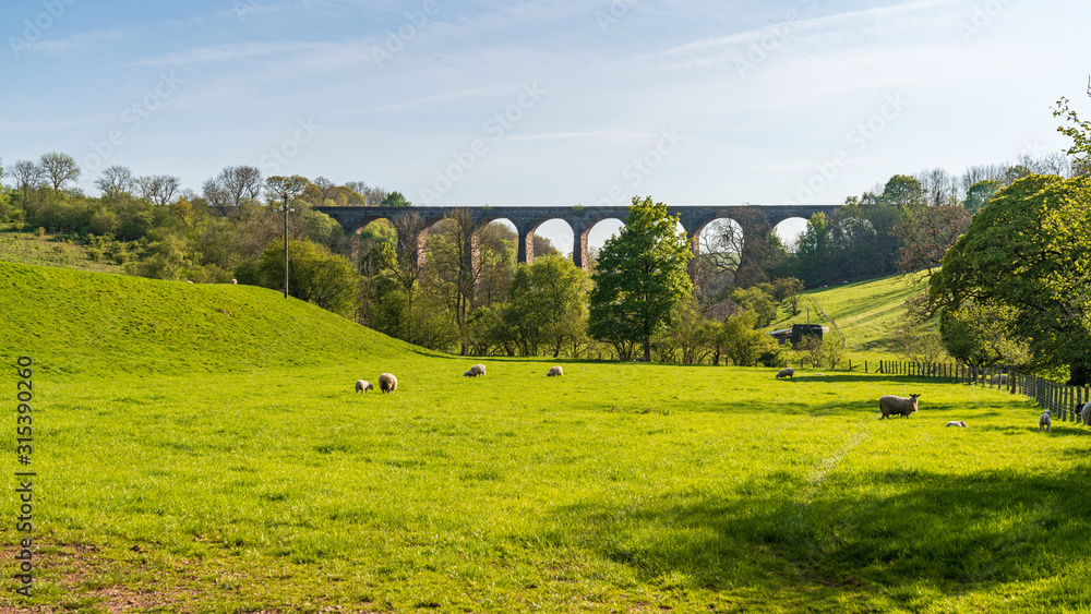 The Smardale Viaduct near Crosby Garrett, Cumbria, England, UK