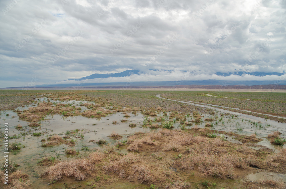 Mongolian steppe after rain. Nature and travel. Mongolia, Khovd Province Mongolian steppe after rain. Nature and travel. Mongolia, Khovd Province