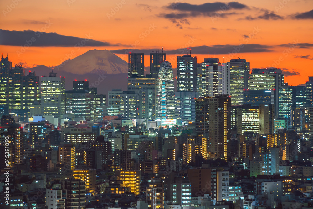 Top view of Tokyo city skyline (Shinjuku and Shibuya) area with beautiful sunset