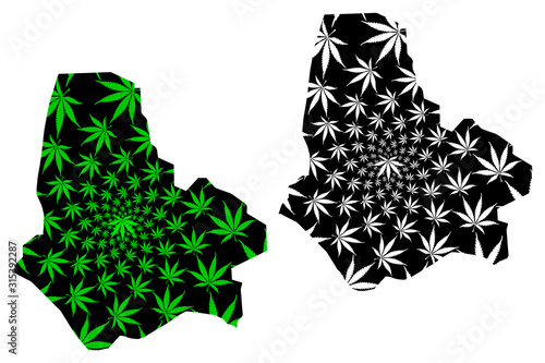 Maradi Region (Regions of Niger, Republic of the Niger) map is designed cannabis leaf green and black, Maradi map made of marijuana (marihuana,THC) foliage.... photo