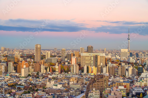 Top view of Tokyo city skyline (Shinjuku and Shibuya) area with beautiful sunset