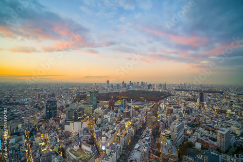 Top view of Tokyo city skyline (Shinjuku and Shibuya) area with beautiful sunset