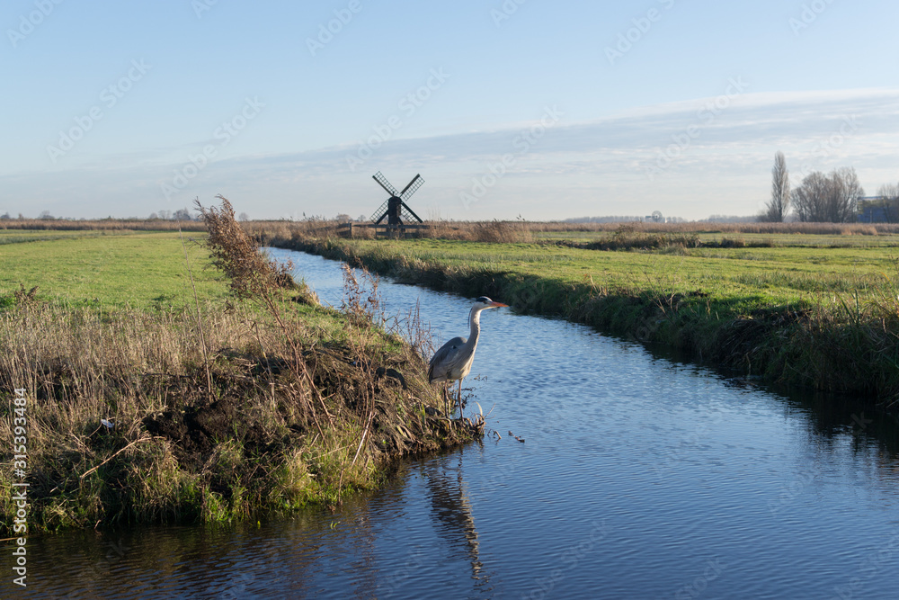 Dutch field with canals and a mill