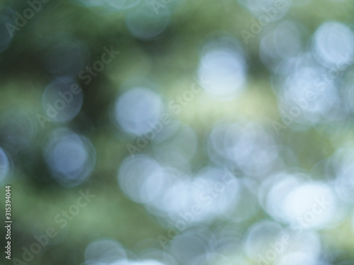 Green light bokeh nature background. Abstract blurred background. Natural bokeh.