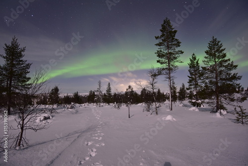 Polar lights  northern lights in Lapland Finland.  auroral oval 