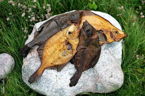 Smoked flatfish on the stone in Jurkalne, Latvia, smoked flounder photo