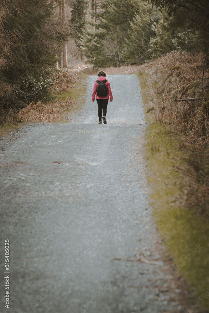 Back view of anonymous woman traveler in warm jacket walking on forest while visiting Tollymore Forest Park in Northern Ireland in spring day Back view of anonymous woman traveler in warm jacket walking on forest while visiting Tollymore Forest Park in Northern Ireland in spring day