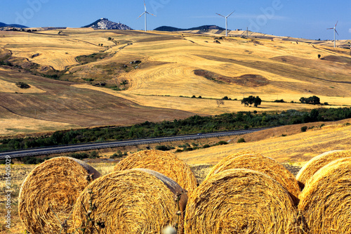 Summer landscapes