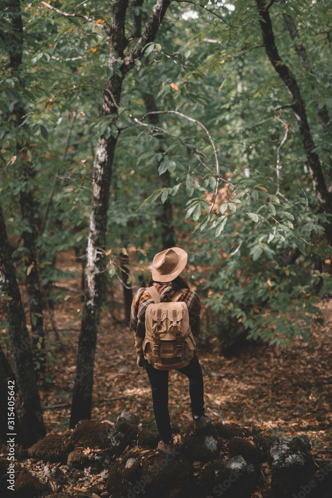 Back view of anonymous woman with backpack adjusting hat while traveling through green forest in nature Back view of anonymous woman with backpack adjusting hat while traveling through green forest in nature