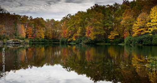 reflection of autumn trees in lake