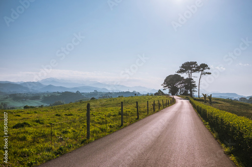 Asphalt road with wooden guard among empty bight green fields with big trees powerful mountains and blue sky on background under sunlight at Comillas Cantabria photo