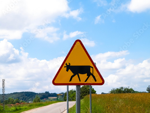 Warning cows roadsign. On country road.