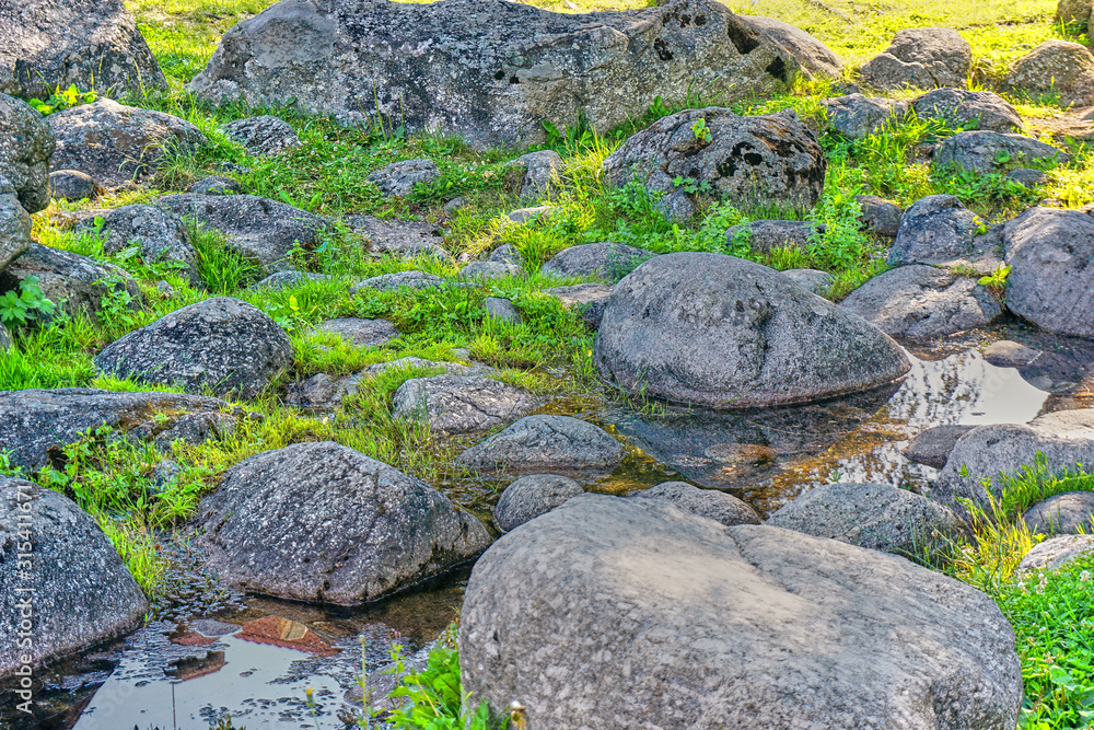 Beautiful pond next to green grass and grey stones Beautiful pond next to green grass and grey stones