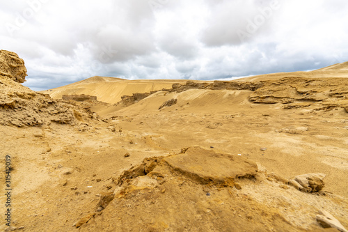 Giant Sand Dunes  New Zealand