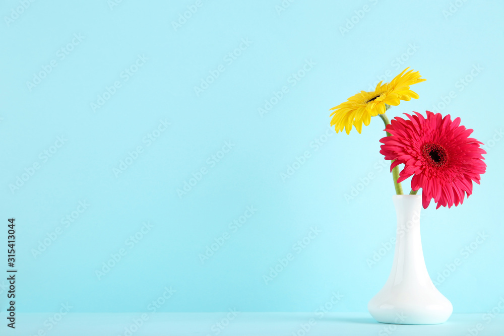 Ceramic vase with gerbera flowers on blue background Ceramic vase with gerbera flowers on blue background