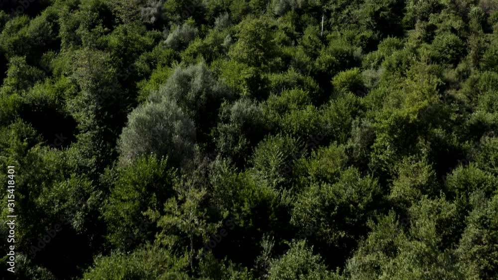 vast Forest in the Montenegrin Mountains in National Park Lake Skadar in Virpazar Montenegro (aerial, drone) vast Forest in the Montenegrin Mountains in National Park Lake Skadar in Virpazar Montenegro (aerial, drone)
