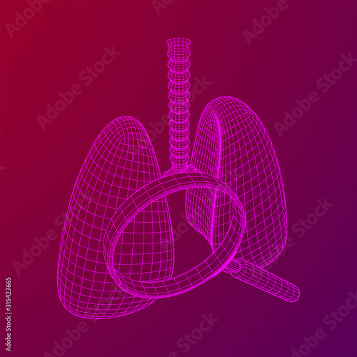 Lungs with trachea bronchi internal organ human with magnifying glass. Pulmonology medicine science analysis concept. Wireframe low poly mesh vector illustration