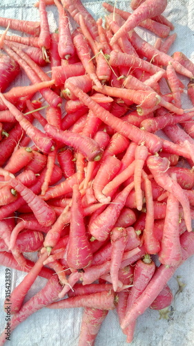Pile of red carrots