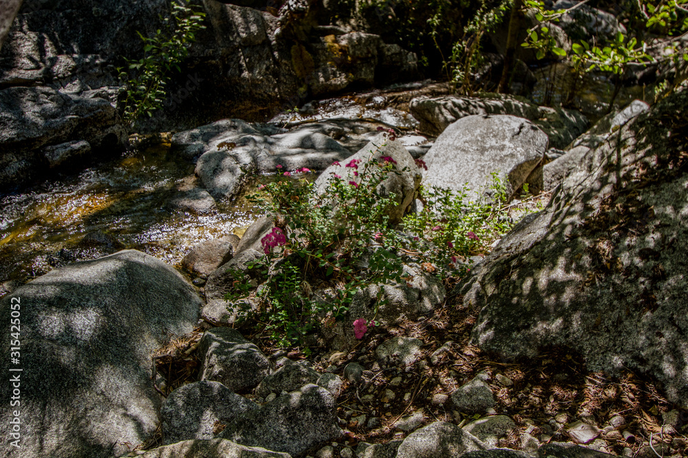 Yosemite National Park Creeks and Streams Yosemite National Park Creeks and Streams