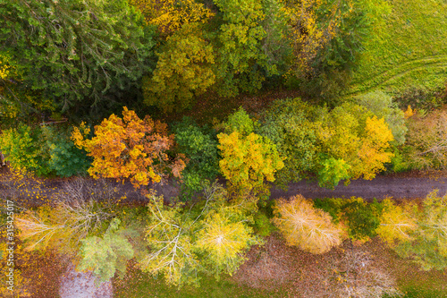 Germany, Bavaria, Upper Bavaria, Toelzer Land, Konigsdorf, Aerial view of Autumn forest and footpath photo