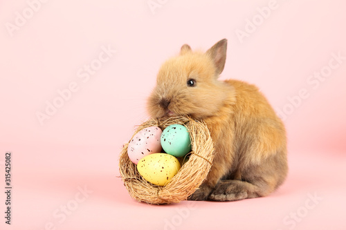 Canvas Print Bunny rabbit with easter eggs in basket on pink background