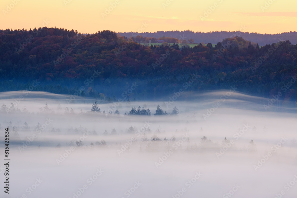 Germany, Bavaria, Thick morning fog shrouding forest in Isarauen nature reserve Germany, Bavaria, Thick morning fog shrouding forest in Isarauen nature reserve