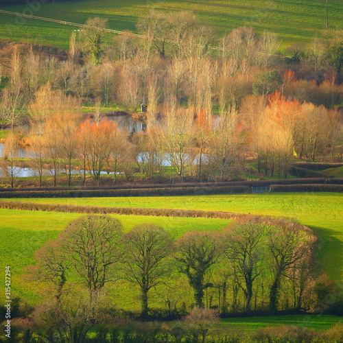 Natural scenery in Axe Valley, Devon
