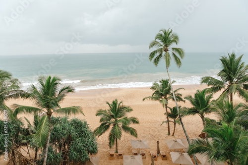 Beautiful landscape, background palm trees on beach. Tropical palm coconut tree on he beach with ocean background.