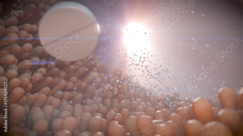 Drug delivery using slow-released metformin drug in the gut and intestine in a diabetes medical treatment