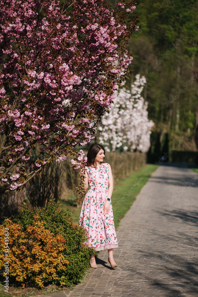 Attractive young girl walking in the park near the pink tree. Sakura tree, spring Attractive young girl walking in the park near the pink tree. Sakura tree, spring