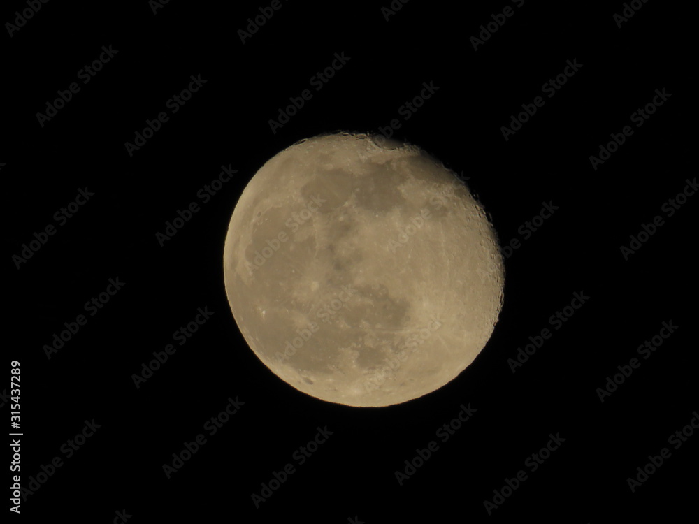 Awesome full moon. Night of wolf, Halloween night, nightmare. Awesome full moon. Night of wolf, Halloween night, nightmare.
