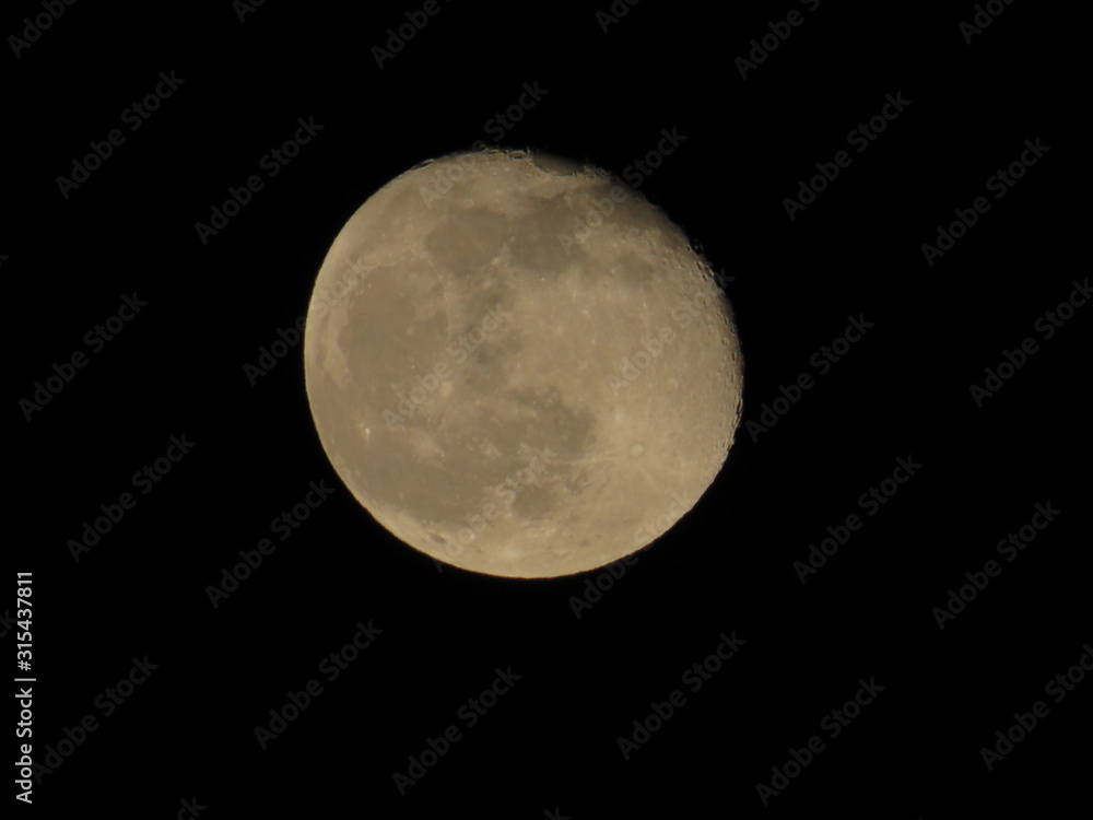 Fototapeta premium Awesome full moon. Night of wolf, Halloween night, nightmare.