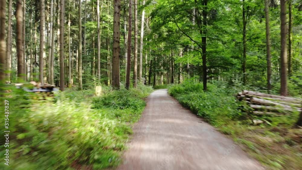 Aerial drone shot moving through scenic woods Aerial drone shot moving through scenic woods