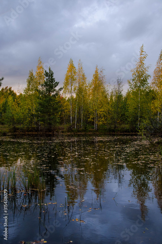 Scenic forest swamp in autumn grove. Beautiful russian nature.