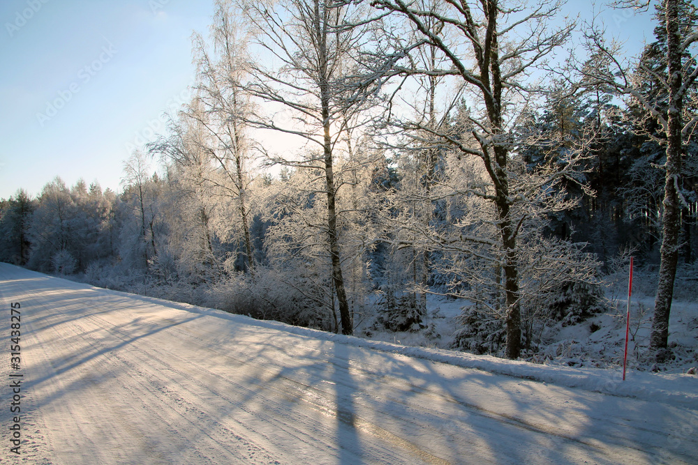 Obraz premium Sweden's nature in the winter months