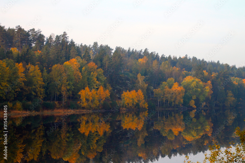 Obraz premium Mirror image of a forest with autumn colors