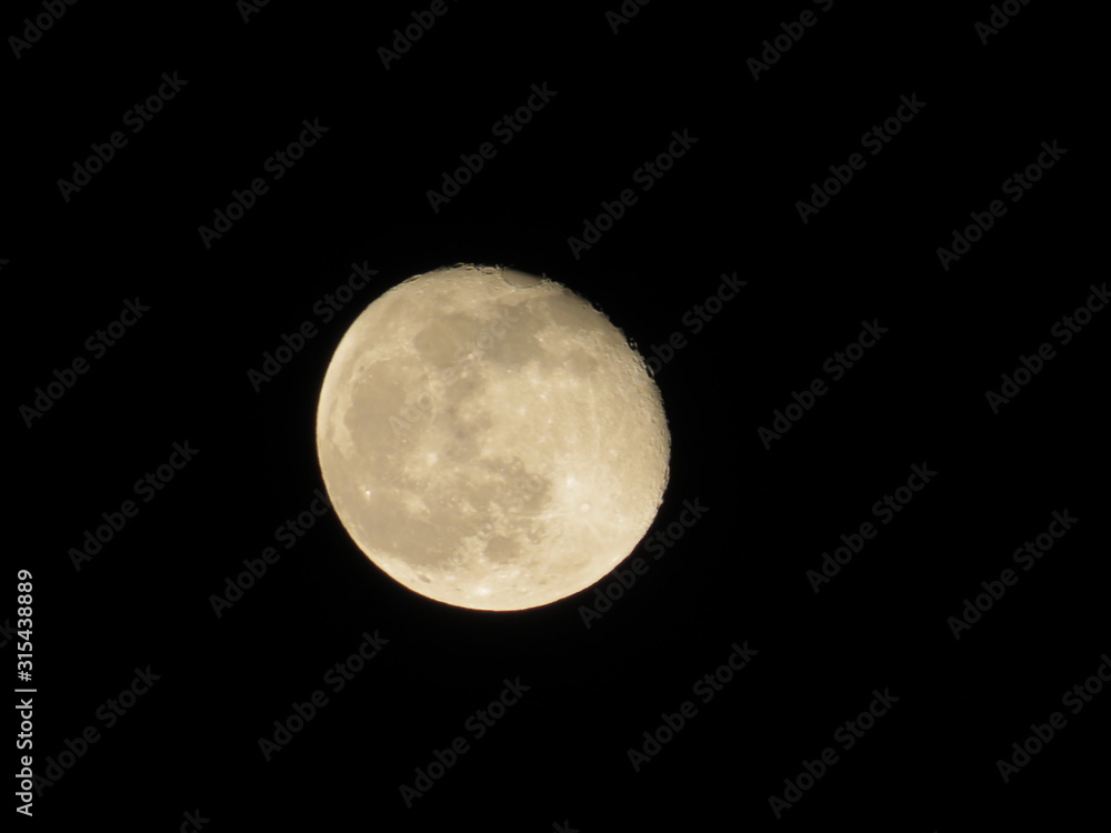 Fototapeta premium Awesome full moon. Night of wolf, Halloween night, nightmare.