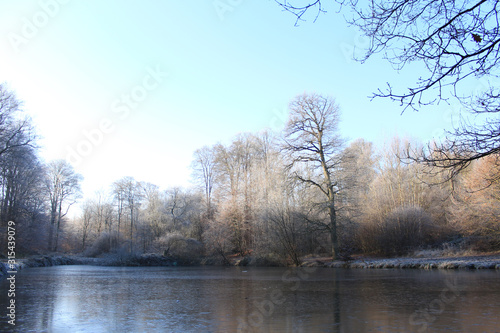 Lac gelé en forêt