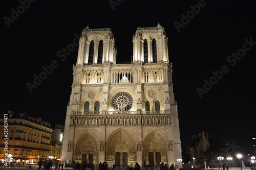 Canvas Print notre dame paris night