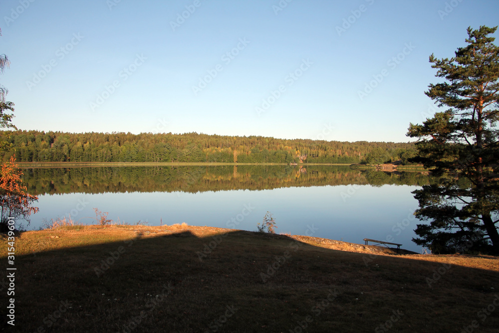 Mirror shiny lake on a sunny summer day