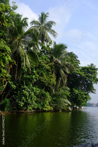 A river landscape, surrounded by tropical forest. sri lanka