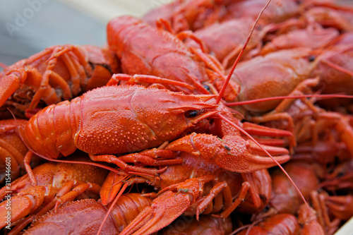 boiled red crayfish, a large dish, close-up