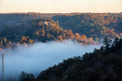 Red River Gorge Forest and Fog