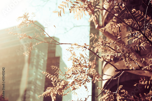 Wallpaper Mural Urban landscape Torontodigital.ca