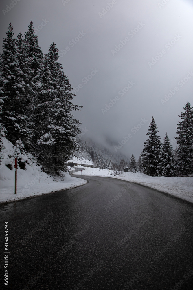Obraz premium road in winter forest